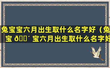 兔宝宝六月出生取什么名字好（兔宝 🐴 宝六月出生取什么名字好一点）